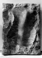 shoulders ~ 1983 ~ arenaceous marl ~ 90 x 68 cm