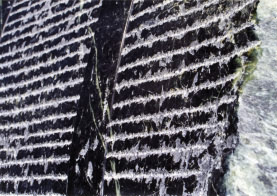 fragment ~ 1999 ~ serpentin  ~ 345 cm