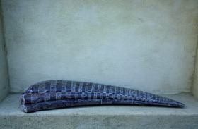fragment ~ 2001 ~ serpentin  ~ 114 cm
